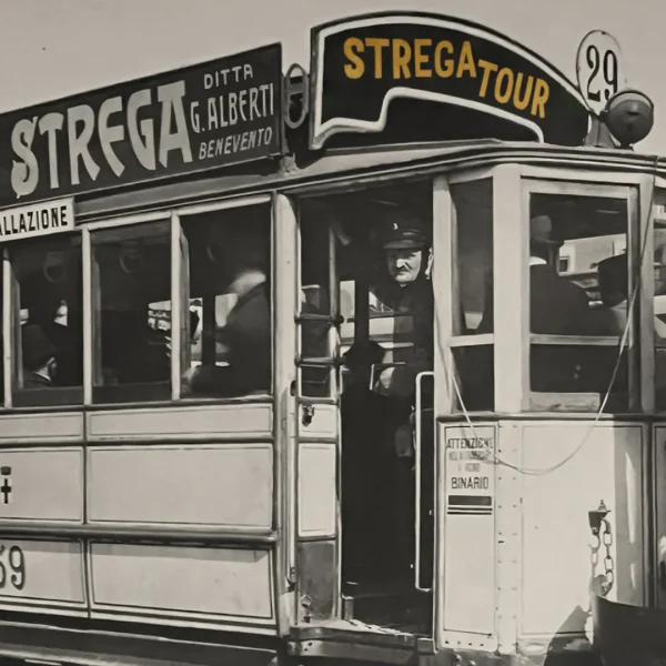immagine per Strega Tour