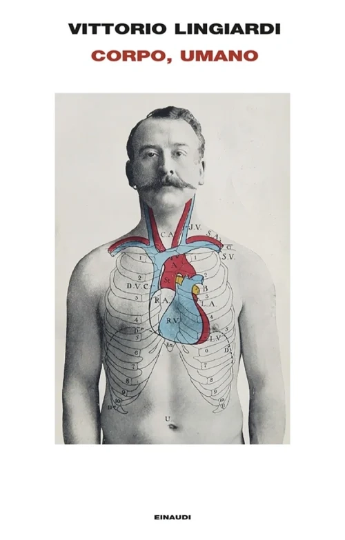 immagine per Corpo, umano